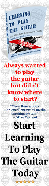 Learn To Play The Guitar